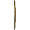 Ekena Millwork Raynor Ceiling Medallion (Fits Canopies up to 6"), Hand-Painted Pale Gold, 20 5/8"OD x 1 3/8"P CM20BEPAS - alternate 3